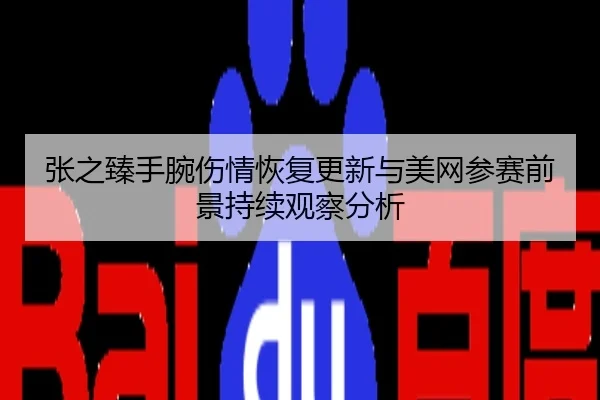 张之臻手腕伤情恢复更新与美网参赛前景持续观察分析
